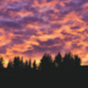 Meet your Posher, Hunter